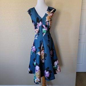 Rare Anthropologie Moulinette Soeurs Baikal Floral Dress, Size 6